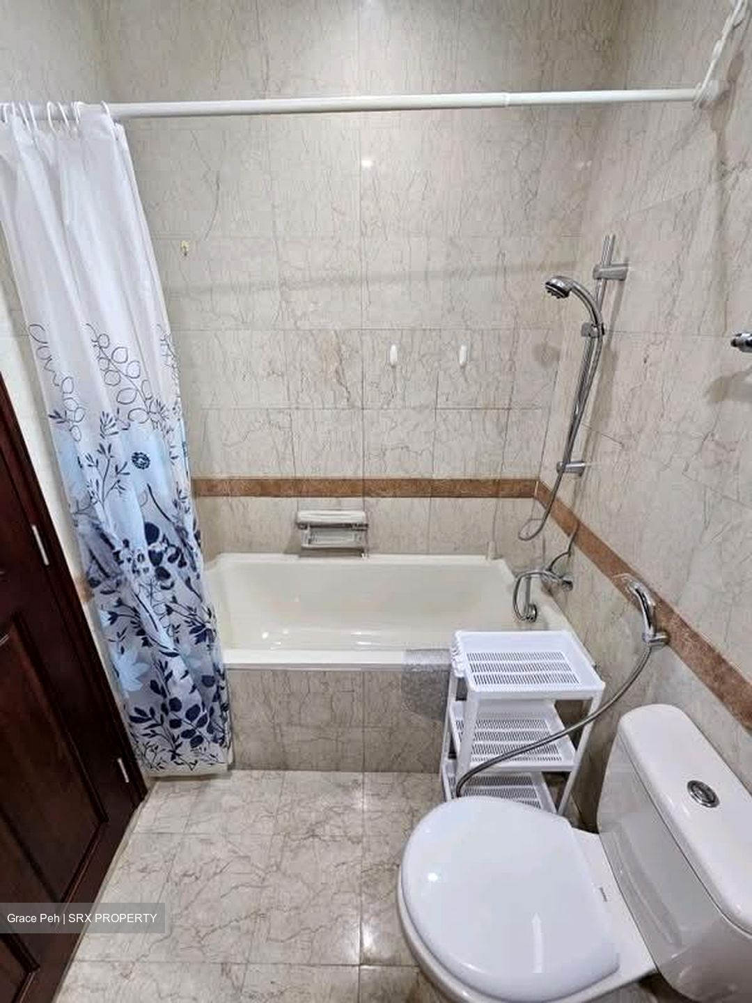 Tanglin Regency (D10), Condominium #563321591